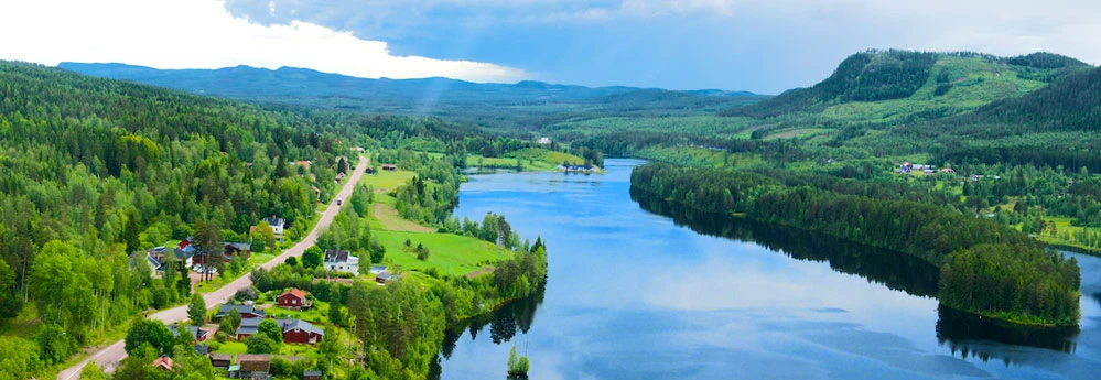 icell cellulosa skog alvdalen